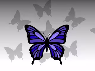 A butterfly
