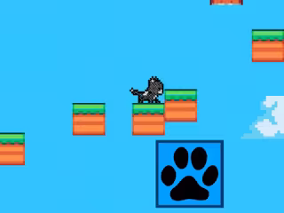 Cats only ahead