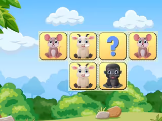 Animals Memory Match