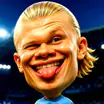 Haaland Funny Face