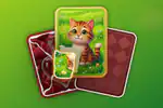 Puzzle Solitaire Picture Match