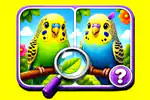 Budgie Spot the Difference