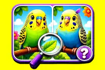 Budgie Spot the Difference