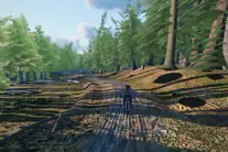 DESCENT
