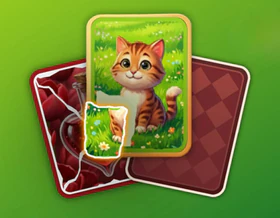 Puzzle Solitaire Picture Match